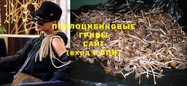бошки Беломорск