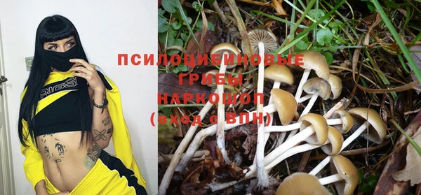 бошки Беломорск