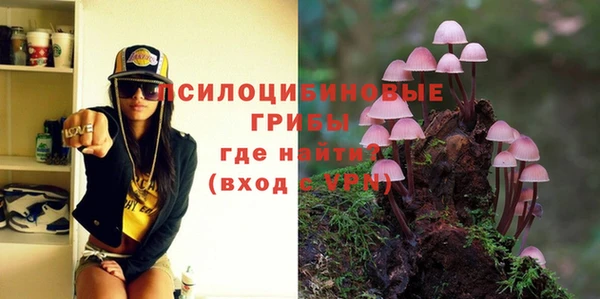 ГАЛЛЮЦИНОГЕННЫЕ ГРИБЫ Белокуриха